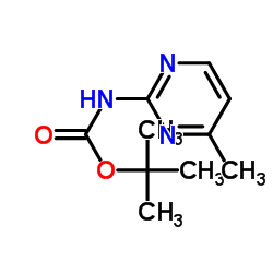 2-Methyl-2-propanyl (4-methyl-2-pyrimidinyl)carbamate Structure