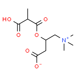 2-Methylmalonoyl carnitine结构式