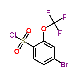 4-溴-2-三氟甲氧基苯-1-磺酰氯结构式