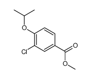 213598-06-2 structure