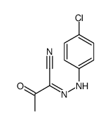 N-(4-chloroanilino)-2-oxopropanimidoyl cyanide结构式