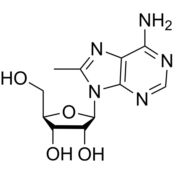 8-methyladenosine Structure