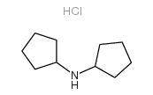 N-cyclopentylcyclopentanamine,hydrochloride structure