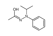 N'-PHENYL-N'-(PROP-2-YL)ACETOHYDRAZIDE Structure