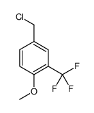 1005207-24-8 structure