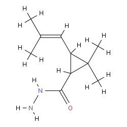 2,2-二甲基-3-(2-甲基-1-丙烯基)环丙烷甲酰肼图片