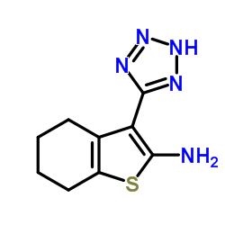 3-(2H-Tetrazol-5-yl)-4,5,6,7-tetrahydro-1-benzothiophen-2-amine Structure