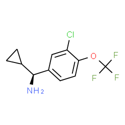 1213563-41-7 structure