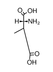 -Methylaspartat结构式