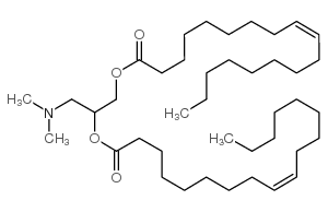 18:1 DAP Structure