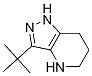 3-tert-butyl-4,5,6,7-tetrahydro-1H-pyrazolo[4,3-b]pyridine picture