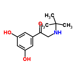 2-(tert-butylamino)-1-(3,5-dihydroxyphenyl)ethanone结构式