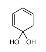 cyclohexa-2,4-diene-1,1-diol Structure