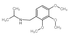 N-[(2,3,4-trimethoxyphenyl)methyl]propan-2-amine picture