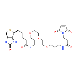 生物素-PEG3-马来酰亚胺图片