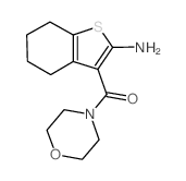 3-(吗啉-4-基羰基)-4,5,6,7-四氢-1-苯并噻吩-2-胺结构式