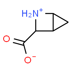 2-Azabicyclo[2.1.0]pentane-3-carboxylic acid结构式