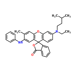 3-N-异戊基-N-乙氨基-6-甲基-7-苯氨基荧烷结构式