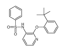 N-[2-(2-tert-butylphenoxy)pyridin-3-yl]benzenesulfonamide结构式