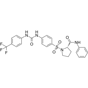 ZL0580 Structure