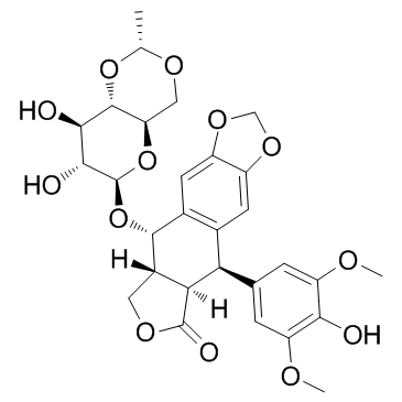 Etoposide Structure