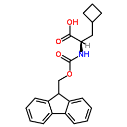 478183-63-0 structure