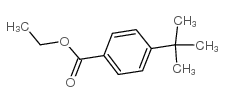 4-叔丁基苯甲酸乙酯图片