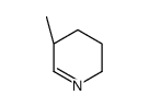 (5R)-5-methyl-2,3,4,5-tetrahydropyridine结构式