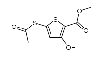 methyl 5-(acetylthio)-3-hydroxythiophene-2-carboxylate Structure