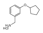 3-(环戊氧基)苯甲胺盐酸盐图片