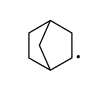 2-Norbornyl radical Structure