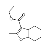 ethyl 2-methyl-4,5,6,7-tetrahydro-1-benzofuran-3-carboxylate结构式