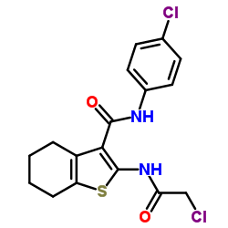 2-(2-Chloro-acetylamino)-4,5,6,7-tetrahydro-benzo[b]thiophene-3-carboxylic acid (4-chloro-phenyl)-amide结构式