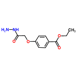 Ethyl 4-(2-hydrazino-2-oxoethoxy)benzoate结构式