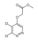 methyl 2-(5,6-dichloropyridazin-4-yl)oxyacetate Structure