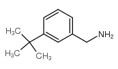 (3-(TERT-BUTYL)PHENYL)METHANAMINE Structure