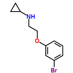 N-[2-(3-Bromophenoxy)ethyl]cyclopropanamine structure