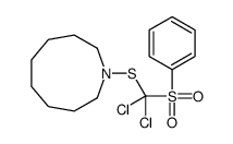 50877-99-1结构式