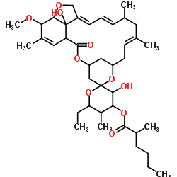 70411-34-6 structure