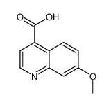 7-甲氧基喹啉-4-甲酸图片