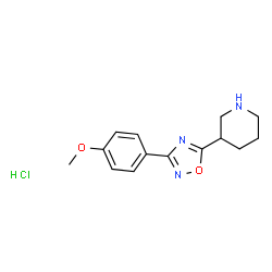 3-(3-(4-甲氧基苯基)-1,2,4-噁二唑-5-基)哌啶盐酸盐图片