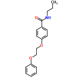 881563-19-5 structure