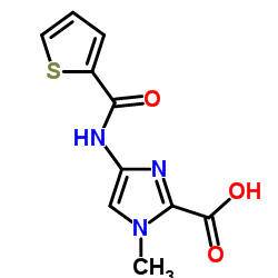 1-METHYL-4-[(THIOPHENE-2-CARBONYL)-AMINO]-1H-IMIDAZOLE-2-CARBOXYLIC ACID picture