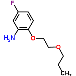 5-Fluoro-2-(2-propoxyethoxy)aniline结构式