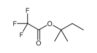 Acetic acid, 2,2,2-trifluoro-, 1,1-dimethylpropyl ester picture