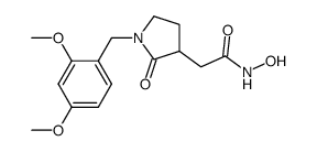 2-[1-(2,4-dimethoxy-benzyl)-2-oxo-pyrrolidin-3-yl]-N-hydroxy-acetamide Structure