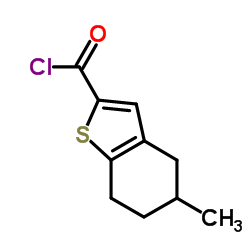 5-METHYL-4,5,6,7-TETRAHYDRO-BENZO[B]THIOPHENE-2-CARBONYL CHLORIDE结构式