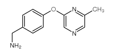 [4-(6-methylpyrazin-2-yl)oxyphenyl]methanamine structure