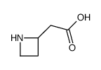 2-(azetidin-2-yl)acetic acid Structure