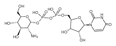 uridine 5'-(2-amino-2-deoxy-α-D-glucopyranosyl)-diphosphate Structure